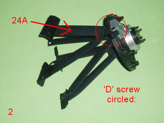 P1010003.JPG
