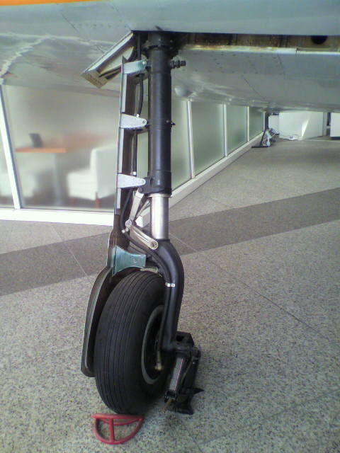 P1010021.JPG