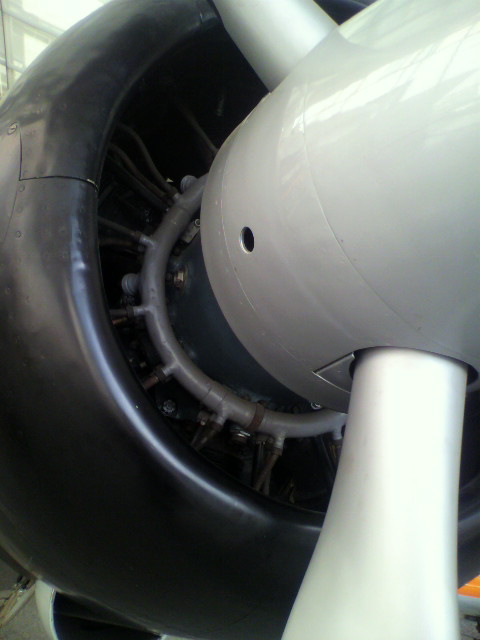 P1010023.JPG