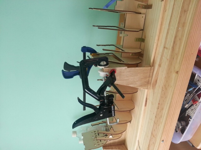 20130205_122237-1.jpg