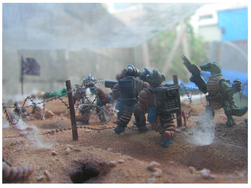 Coming soon! pic.JPG