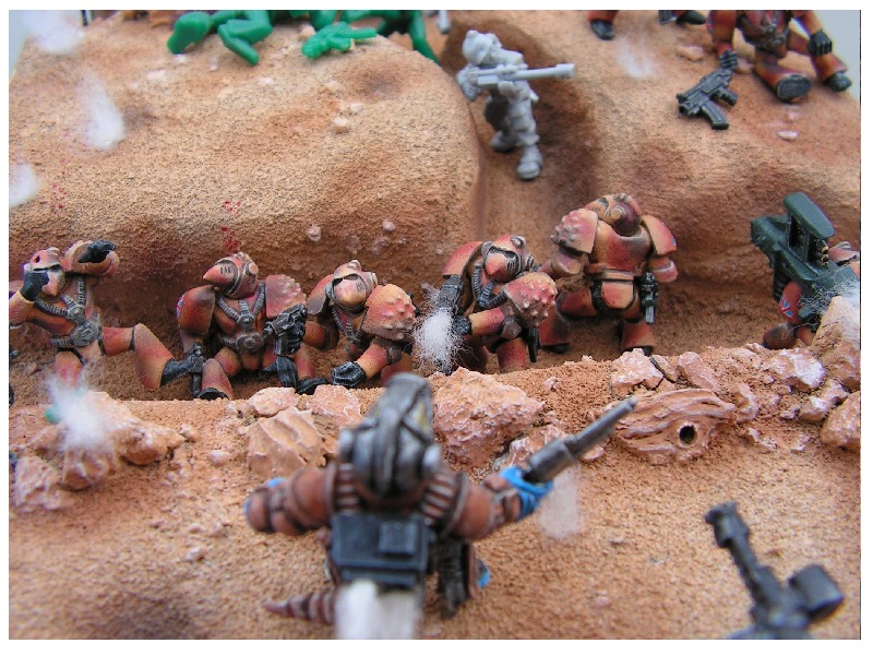 Trench Close Up 1 Pic.JPG