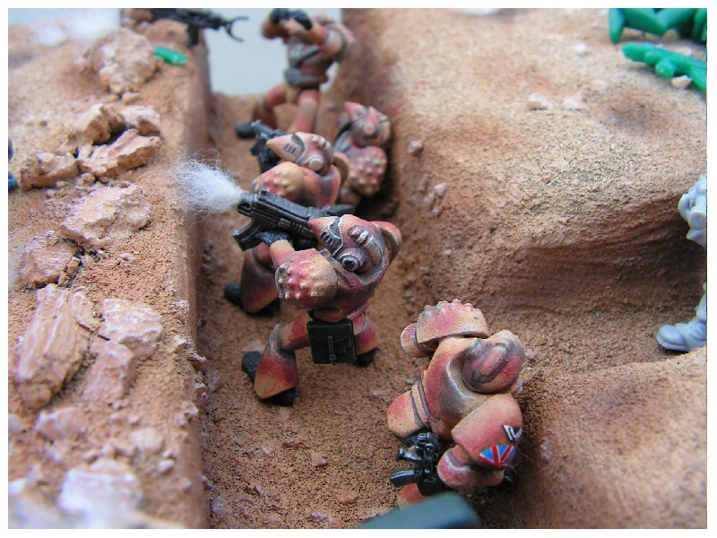 Trench Close Up 3 Pic.JPG