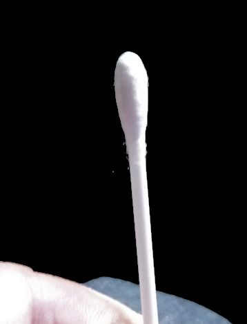 cotton bud.jpg