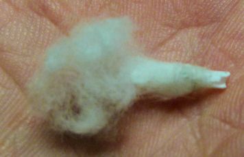 smoke hand.jpg