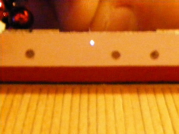 DSCF1895.JPG