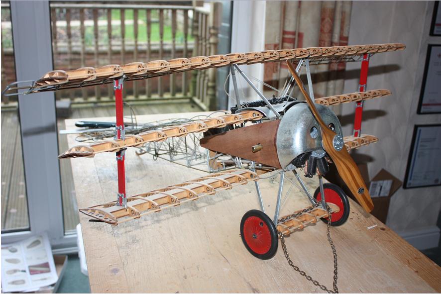 P1.jpg