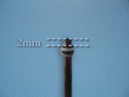 S81-9.JPG