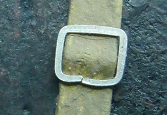 buckle.jpg