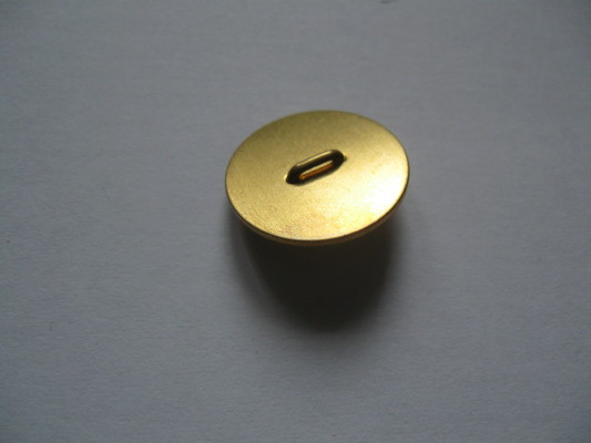 D81-3.JPG