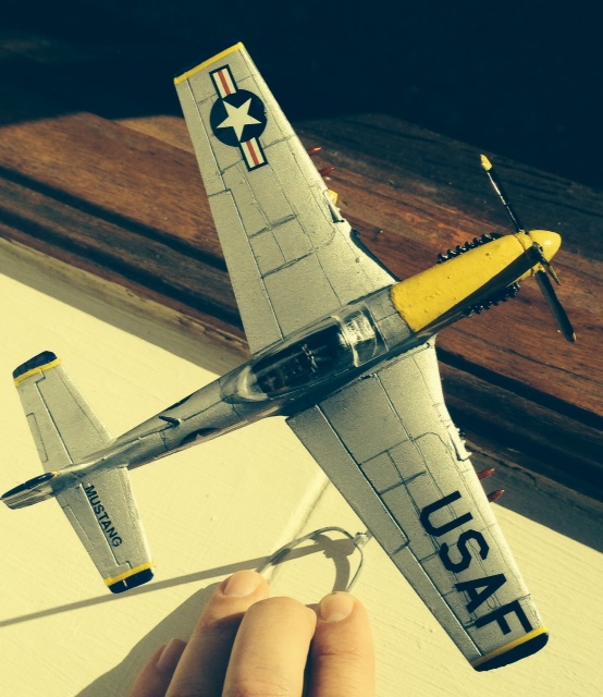 P-51 Mustang.JPG