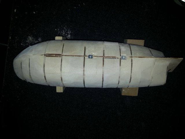Balsa infill 2.jpg