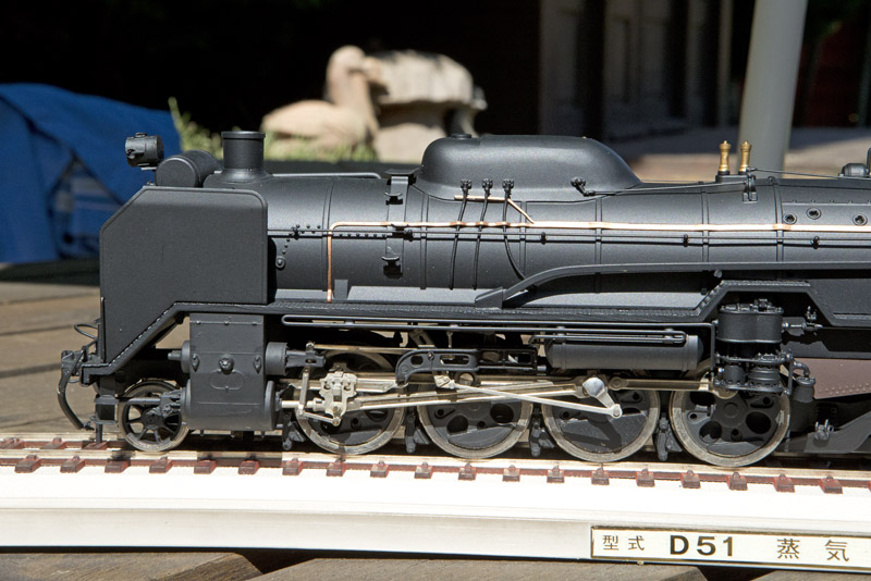 D51 LHS front W2.jpg