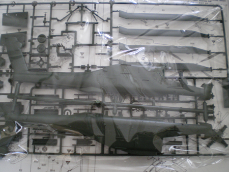 IMGP0877.JPG