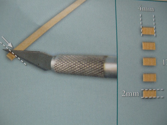 S99-7.JPG