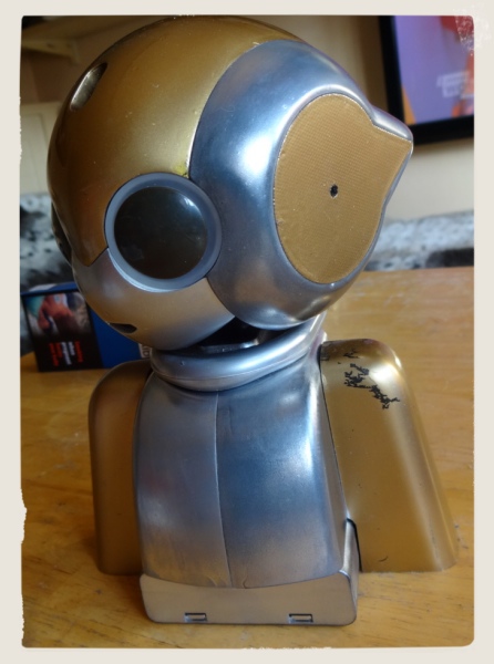 robi20.jpg
