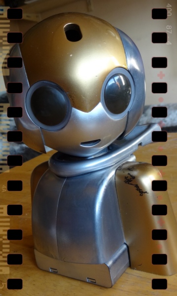 robi22.jpg