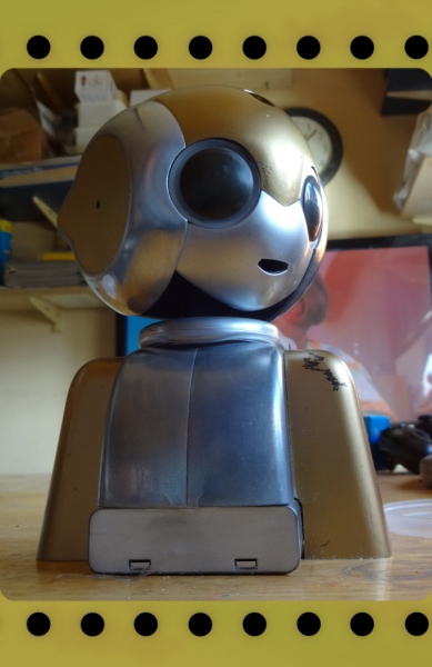 robi23.jpg