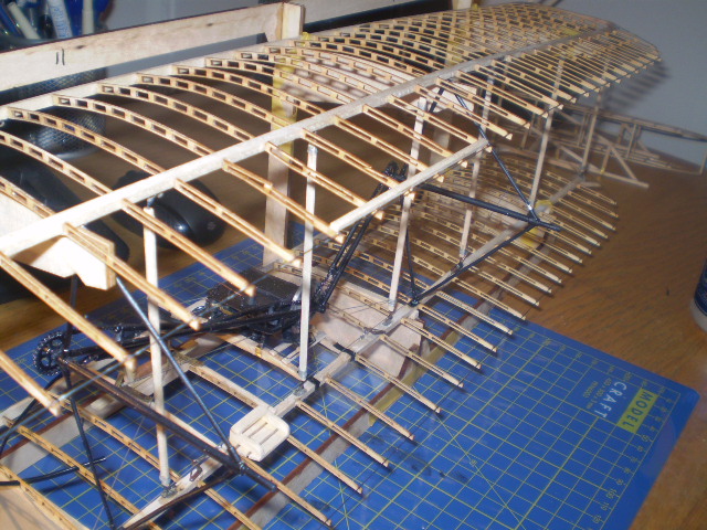 PB020006.JPG
