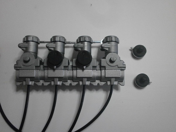 PA260555.JPG