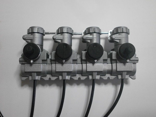 PA260557.JPG