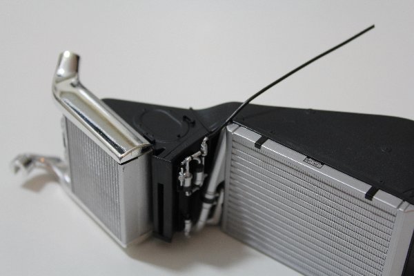 image7.jpg