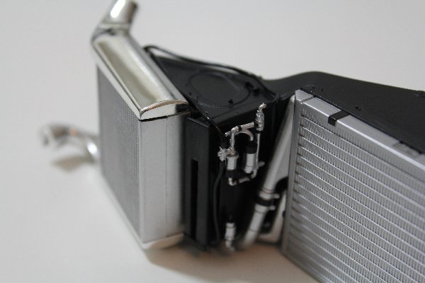 image10.jpg