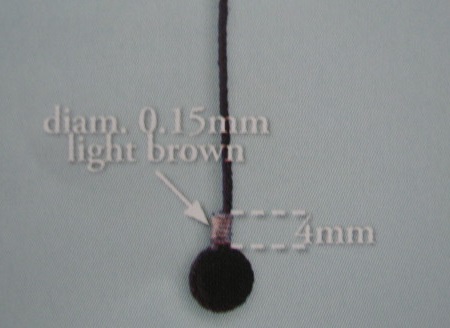 S117-14.JPG
