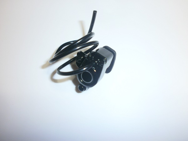 PB220705.JPG