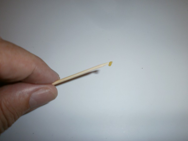 PB220910.JPG