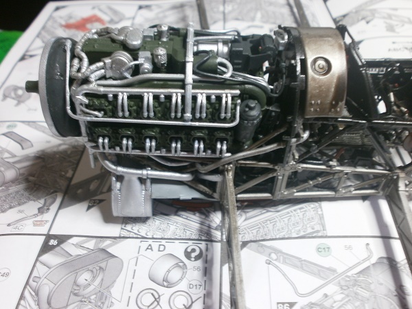 P9060004.JPG