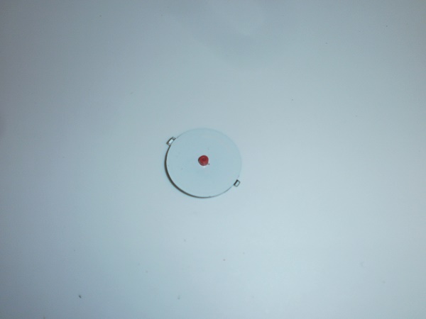 PB220841.JPG