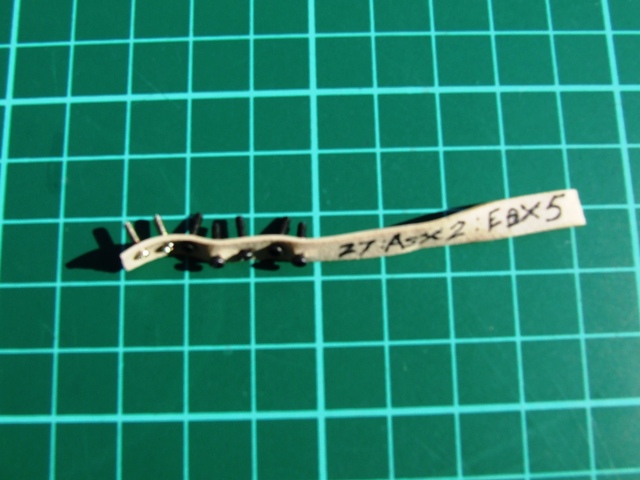 DSCF5374.JPG
