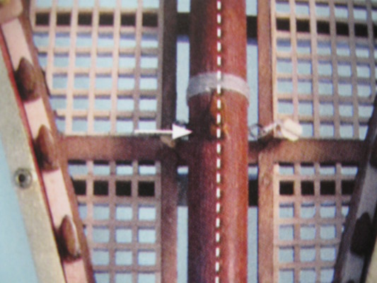 S121-15.JPG