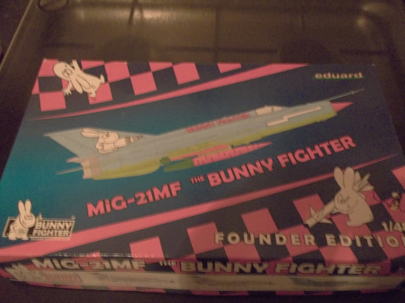 mig bunny.JPG