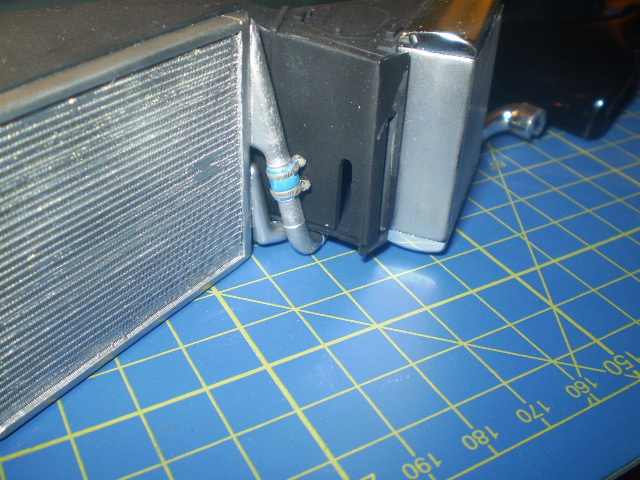 P1010002.JPG