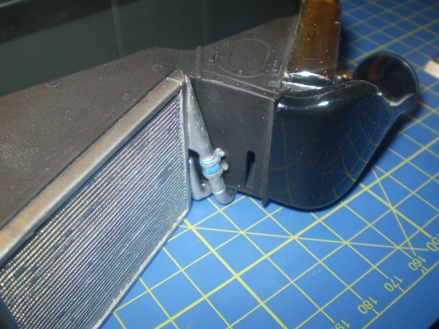 P1010009.JPG