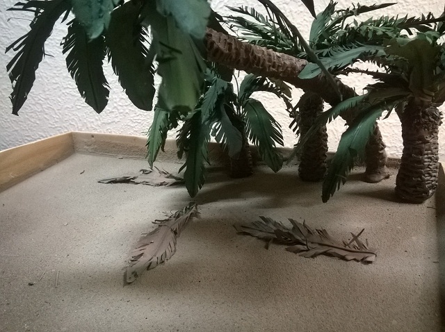 WP_20150112_006.jpg