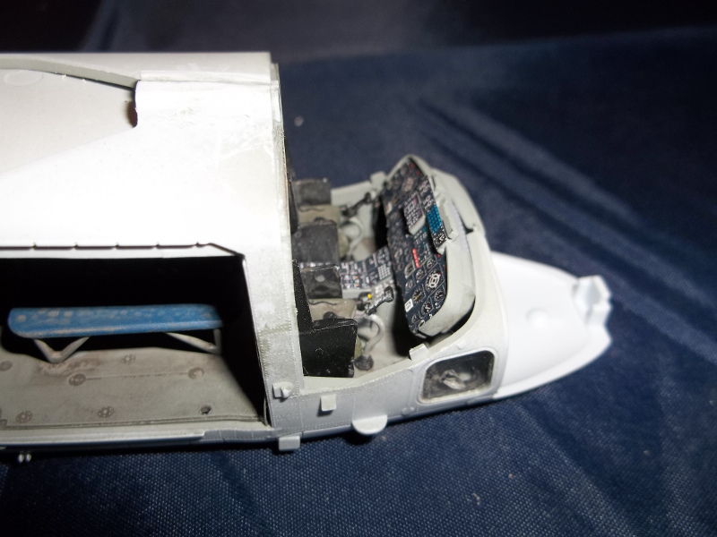 lynx1.JPG