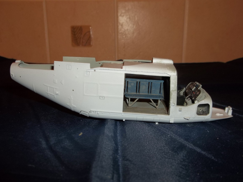lynx3.JPG