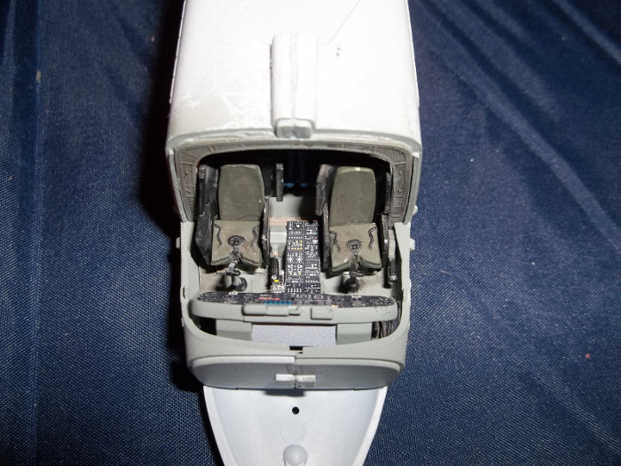 lynx4.JPG