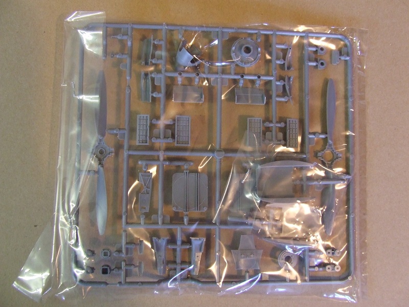 DSCF8458.JPG