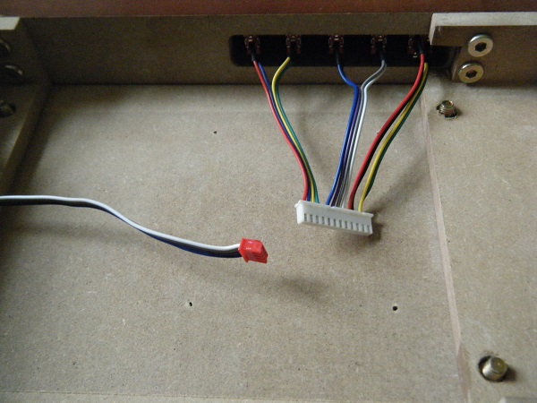 d51 49.JPG