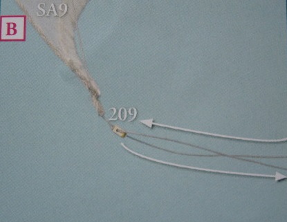 S129-29.JPG