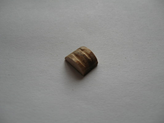 V82-5.JPG