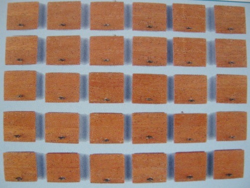 S133-10.JPG