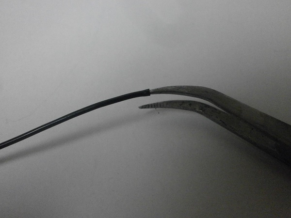 P4051220.JPG