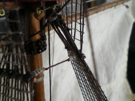 IMGP1145.JPG