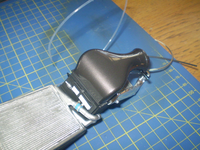 P4120007.JPG