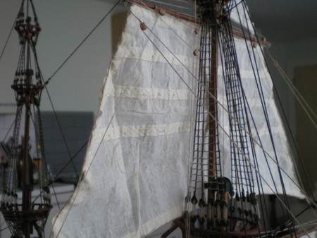 IMGP1159.JPG
